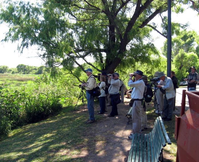 Birding Tours